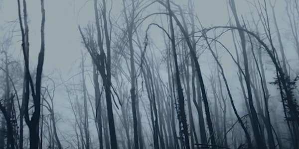 Feature: Frozen May