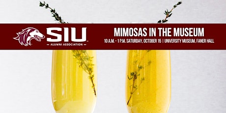 Mimosas in the Museum