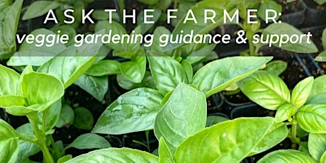 Ask The Farmer October 10: Veggie Gardening Guidance & Support