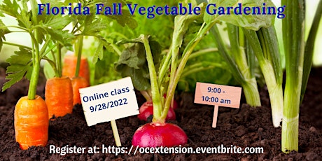 Florida Fall Vegetable Gardening (Online Class)