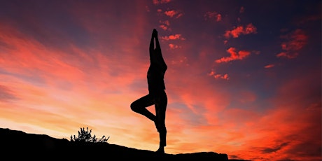 Beginner's Vinyasa Yoga Course (8 weeks) primary image