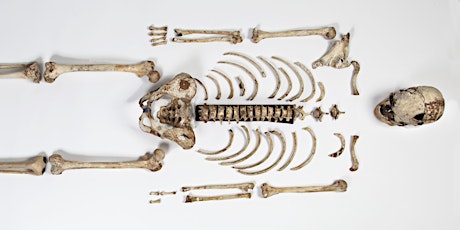 Recovering ancient DNA from museum specimens: people of the British Isles