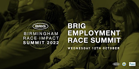 The Full Picture! - Employment Race Summit primary image