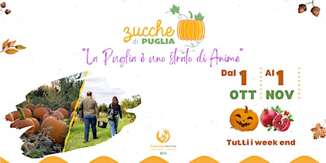 Immagine principale di Zucche e melograni di Puglia - visite e raccolta in campo 