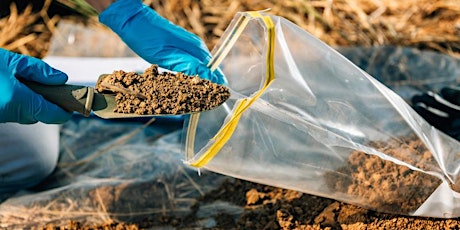 Understanding & Addressing Soil Contamination (online)