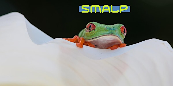 International SMALP Conference