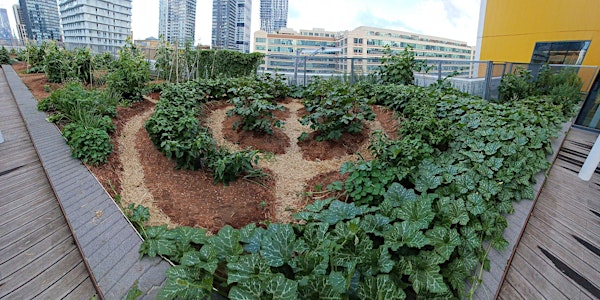 Urban Farm Tour: Indigenous Foodways and Black Food Sovereignty Initiatives