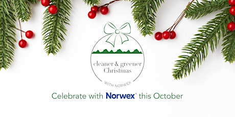 A Cleaner  and Greener Christmas with Norwex - Hamilton