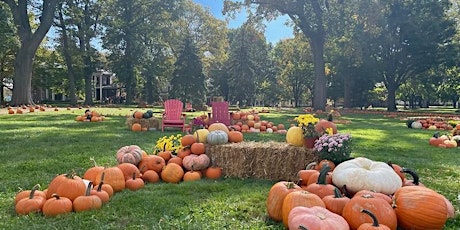 Pumpkin Point on Governors Island