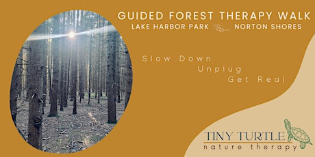Guided Forest Therapy  Walk