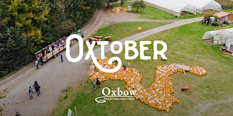 Oxtober 2022 - Fall Festival!