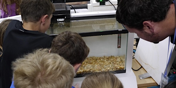 Trout in the Classroom - SF Bay Area - 2022/23 School Year