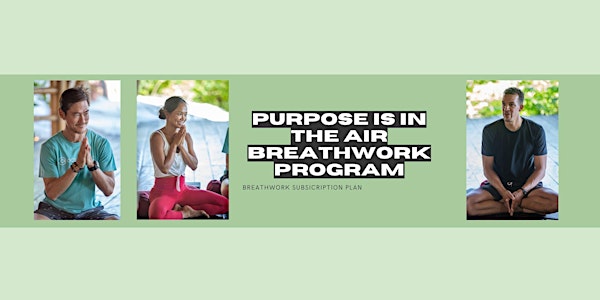 Purpose is in the Air | Breathwork with David