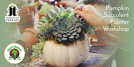 SOLD OUT - In-Person Pumpkin Succulent Workshop at Green Parrot Restaurant