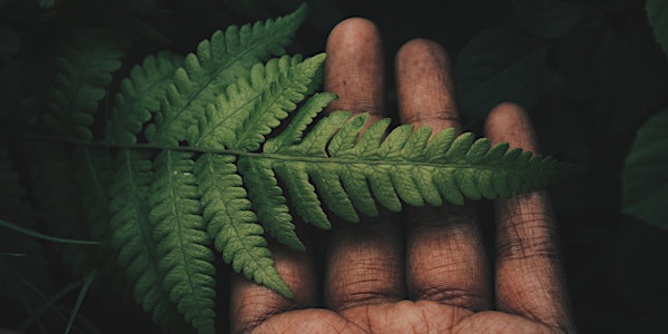 Feed Your Brain Session: Being a Replenishing Entrepreneur
