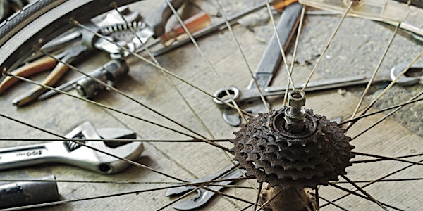 Bike Maintenance Workshop