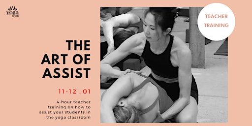 Art of Assist in Yoga Teacher Training with Debby Stanley