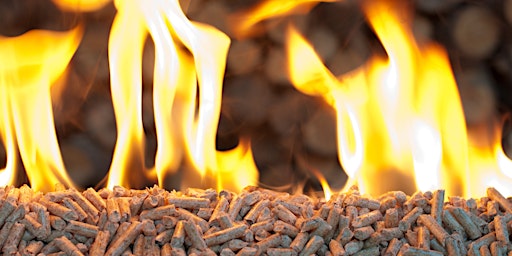 Impianti a Biomassa: Introduzione alla DGR 5360 e alla norma UNI 10389 -2