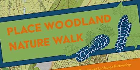 Place Woodland Nature Walk