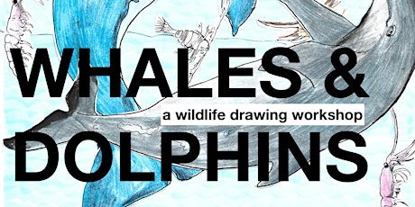 WILDLIFE DRAWING: WHALES