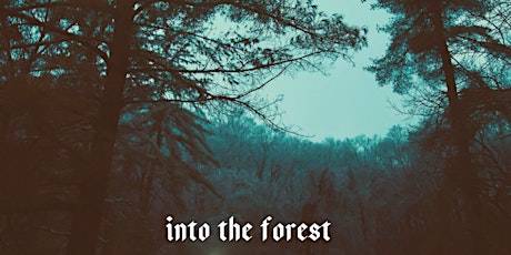 Into the Forest—An Equinox Workshop