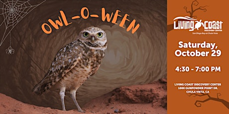 Owl-O-Ween primary image