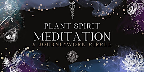 Plant Spirit Meditation & Journeywork Circle