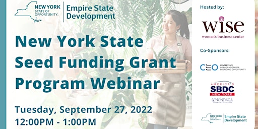 NYS Grant Opportunity for Small Businesses – NY State Seed Funding Grant