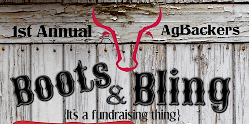 Boots & Bling {it's a fundraising thing}
