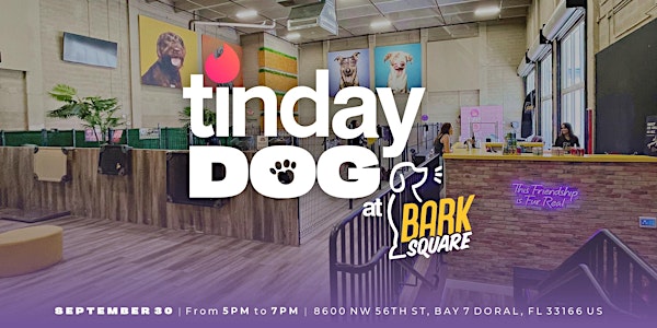 Tinday Dog at Bark Square