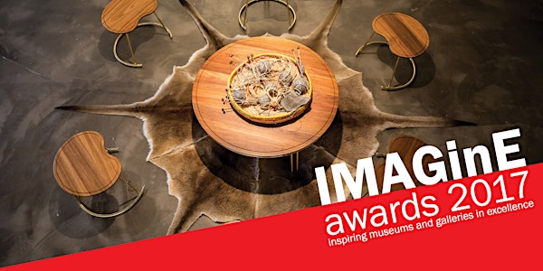 2017 IMAGinE awards night