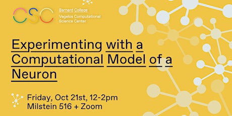 CSC Workshop: Experimenting with a Computational Model of a Neuron