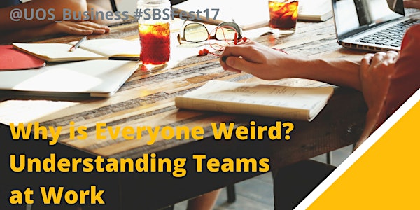 Why is Everyone Weird? Understanding Teams at Work