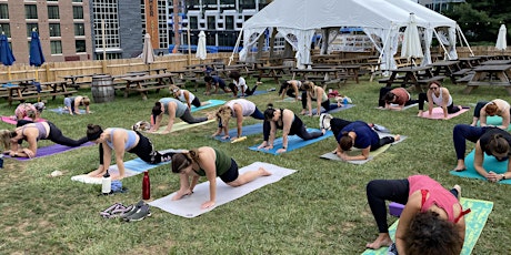 Yoga+ at Shipgarten
