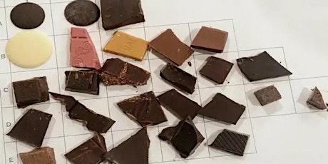 Guided cacao (chocolate) tasting at Lake Gardens