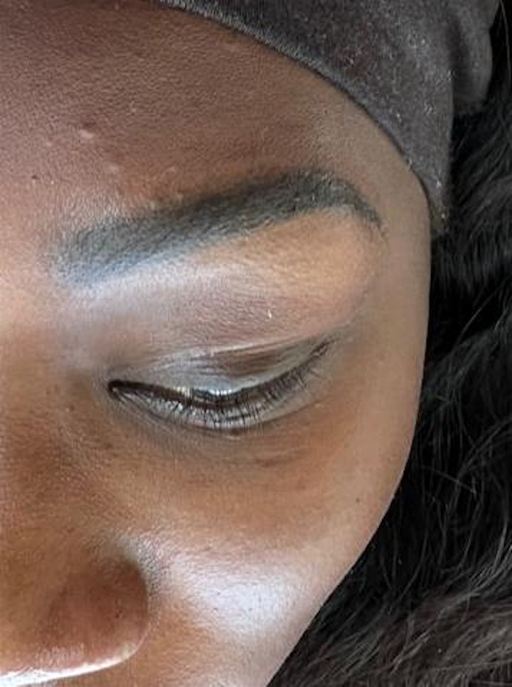 Microblading and Ombre Powder Brow Training image