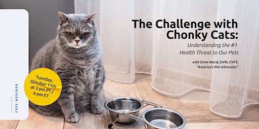 The Challenge With Chonky Cats: Understanding the #1 Health Threat to Pets