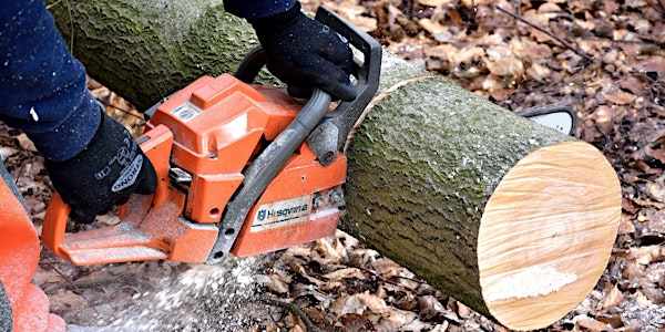 Level 1 Chainsaw Safety Training (Sat, Oct 15)