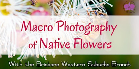 Macro Photography of Native Flowers primary image