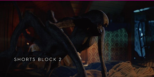 Shorts Block 2