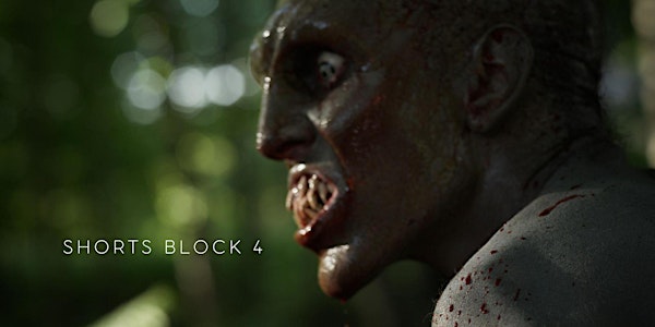 Shorts Block 4