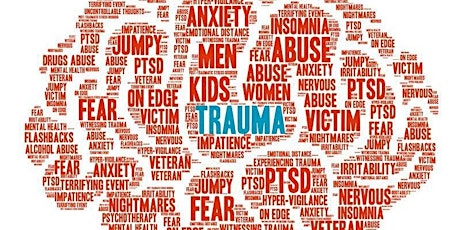 Hauptbild für Trauma Informed Practice Training (CPD Accredited)