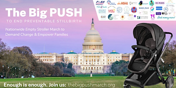The Big PUSH to End Preventable Stillbirth -Nationwide Empty Stroller March