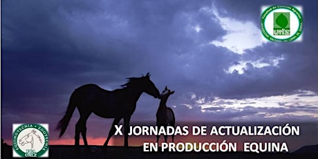 Imagen principal de X JORNADAS DE ACTUALIZACIÓN EN PRODUCCIÓN EQUINA