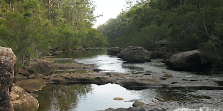 Aboriginal Guided Bush Walk primary image