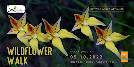 Get Wild About Wetlands – Wildflower Walk primary image