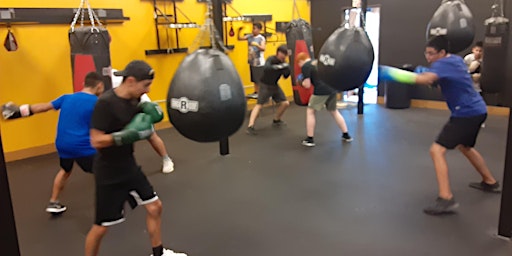 Free Youth Recreational Boxing