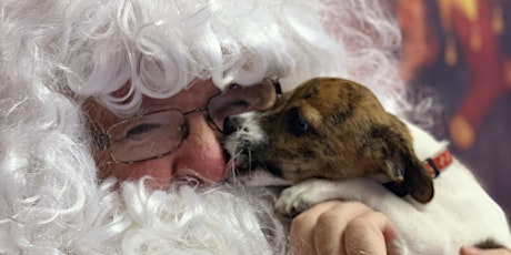 Register your Interest in Attending the DSPCA Santa Event 2022