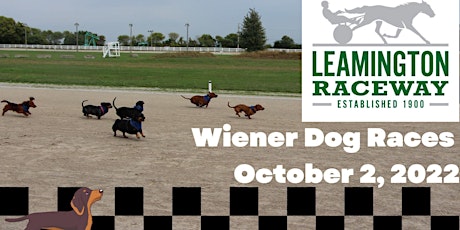 Leamington Raceway Wiener Dog Races