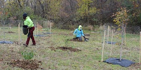 County Grounds Park Tree Planting 11/5/22 @9am